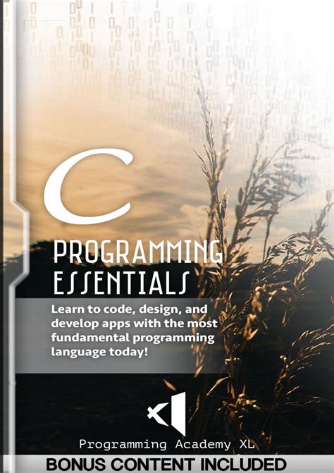 C Programming The Essentials For Engineers And Scientists 1st Edition