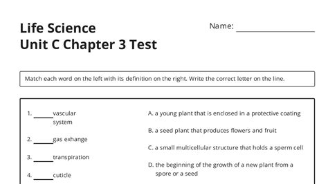 Read C Chapter 3 Test 