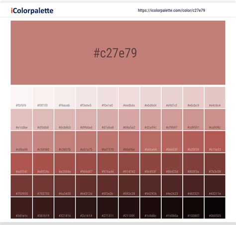 c27e79 color