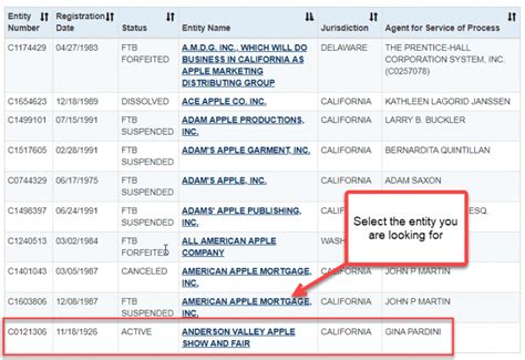 Ca Entity Search