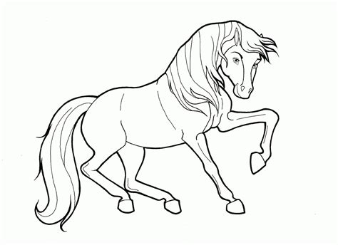 Caballos Para Pintar