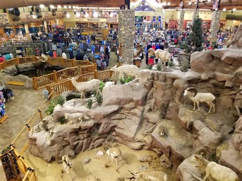 cabela's delaware