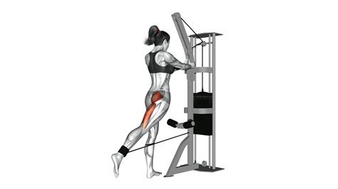 Cable Hip Extension