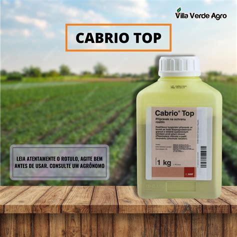 Cabrio Top Bula