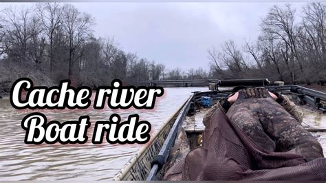Cache River At Patterson