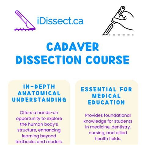 Cadaver Dissection Technique Pdf