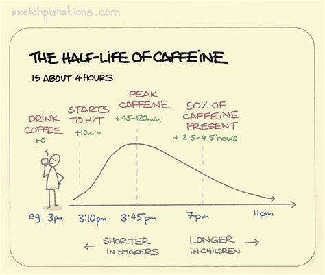 caffeine half life time