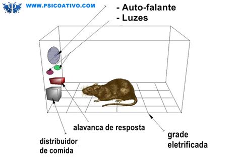 Caixas De Skinner