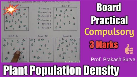 Calculate Plant Population Density By Quadrat Method Byjuu0027s Population Density Worksheet Biology - Population Density Worksheet Biology
