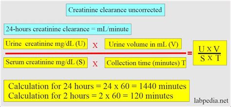 Calculating Cr Clearance