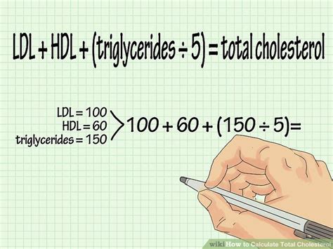 Calculo Do Ldl