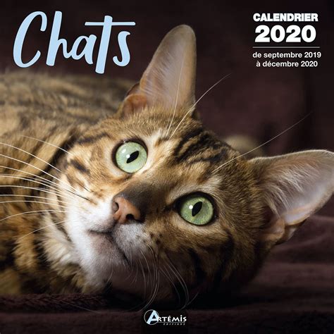 calendrier chats 2020