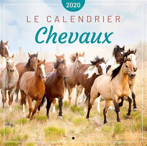 calendrier chevaux 2020