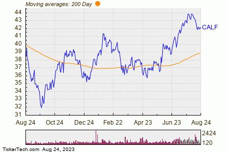 30 sie 2023 ... The fund invests in value stocks that fit the sma