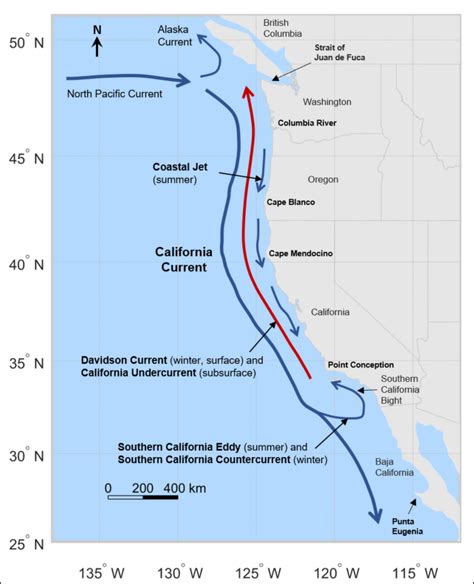 california current