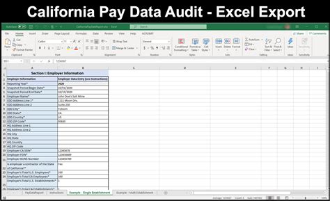 california pay data reporting
