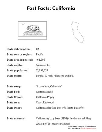California State Facts Primarylearning Org State Facts Worksheet - State Facts Worksheet