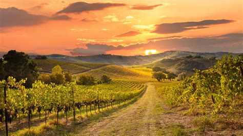 california wineries