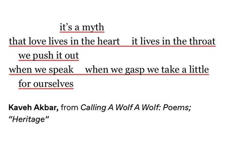 Calling A Wolf A Wolf
