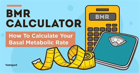 Calorie Burning Calculator   Bmr Calculator Basal Metabolic Rate Calculator Myfitnesspal - Calorie Burning Calculator