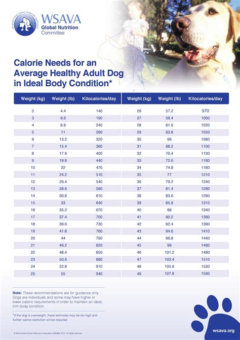 Calorie Calculator Dog   Calorie Calculator Pet Nutrition Alliance - Calorie Calculator Dog