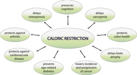 Calorie Restriction What Nutritional Science Is Missing Science Calories - Science Calories