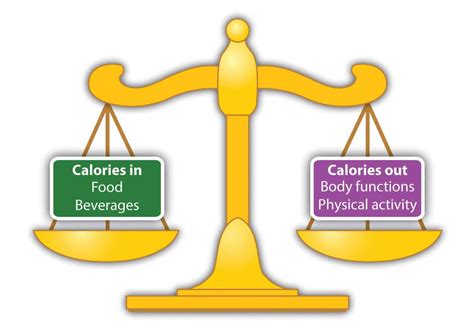 Calories In Calories Out Science Calories - Science Calories