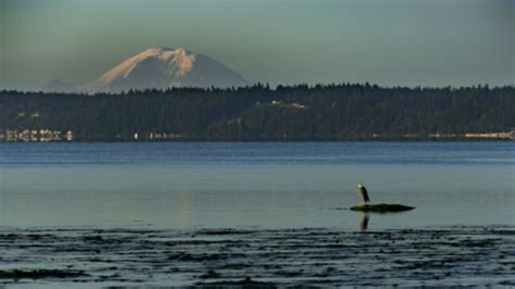 camano washington