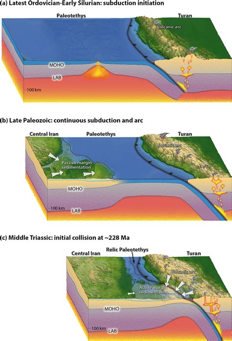 Cambrian Process Contnrols