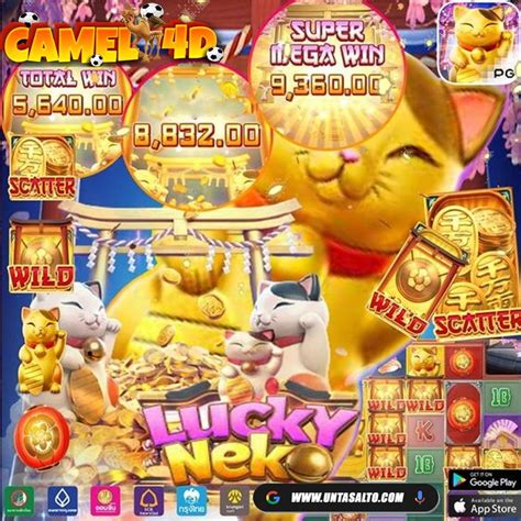 CAMEL 4D SLOT：Tomitoto