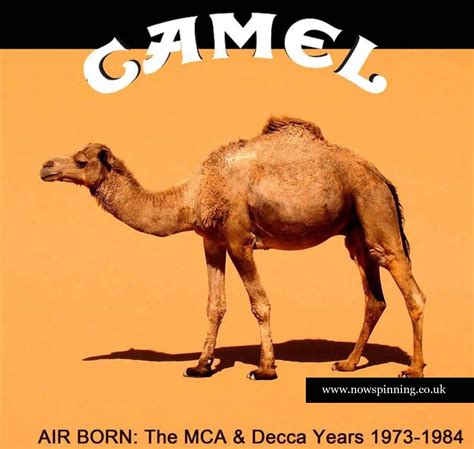 Camel By Camel Porn Video