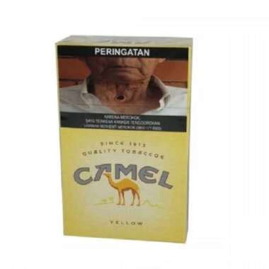 camel kuning | Apa Bahasa Inggrisnya Warna Twinkl