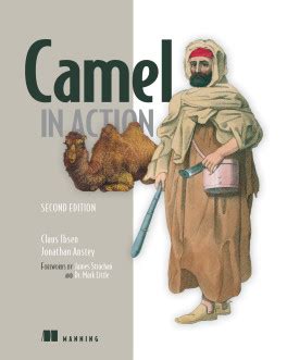 Read Online Camel In Action Second Edition 