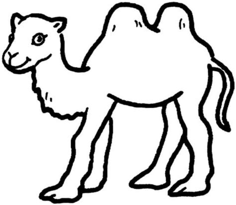camello dibujo infantil casa