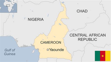 cameroon the evolution of africa s major nations