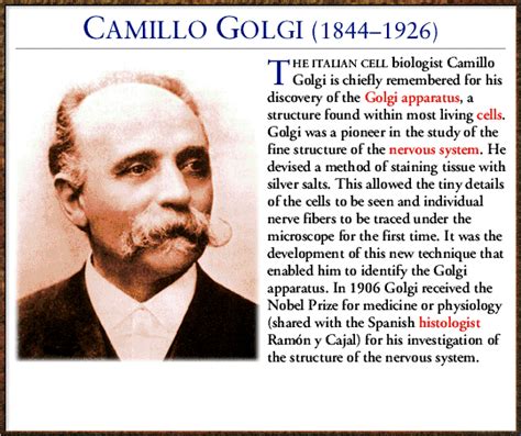 camillo golgi biography of mahatma