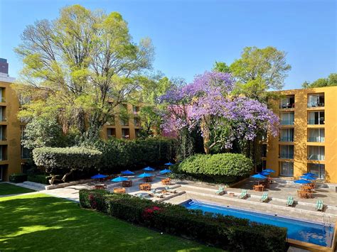 Camino Real Polanco