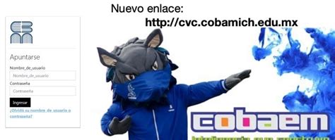 Campus Virtual Cobaem