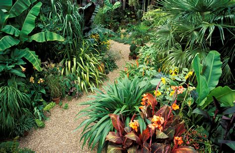 can you plant roses and tropical plants in landscaping?