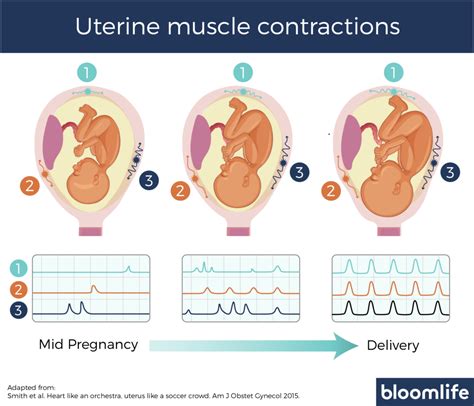 can baby moving feel like a contraction