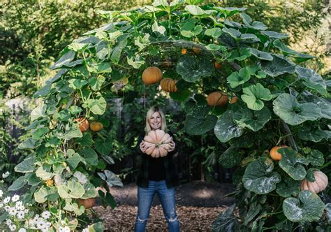 can i grow pumpkins indoors