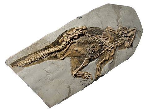 Can Sun Melt Fossils