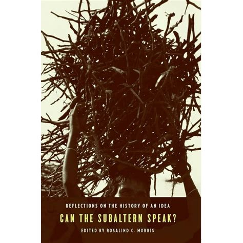 can the subaltern speak reflections on the history