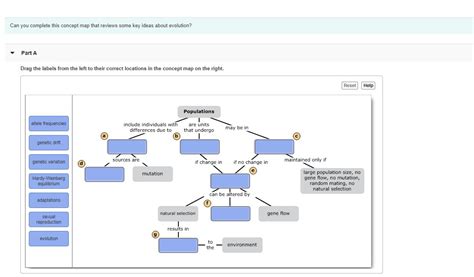 Can You Complete This Concept Map About Muscle Organization