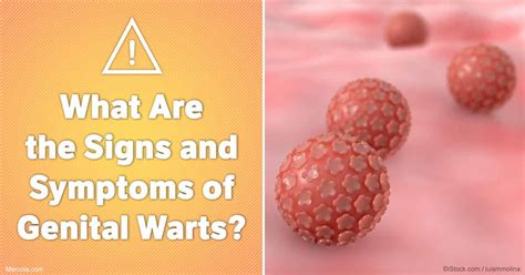 can you date with genital warts