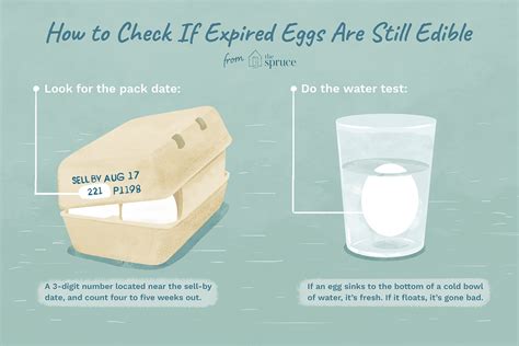 can you use eggs past expiration date? - Test Food Kitchen