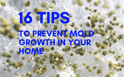 can your lips grow mold at home