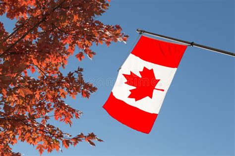 Canada Flag Tree