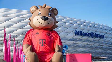canal+ sport live stream