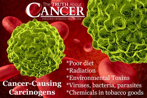 Cancer Causing Chemical Can Form At U0027unacceptably High Grade Levels In Usa - Grade Levels In Usa